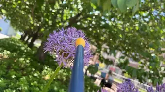 The sensor probe touching flower (flower)
